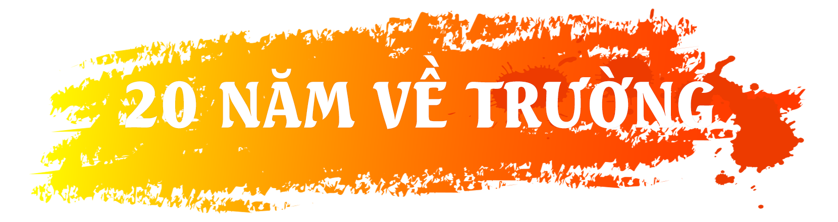 20 năm về trường